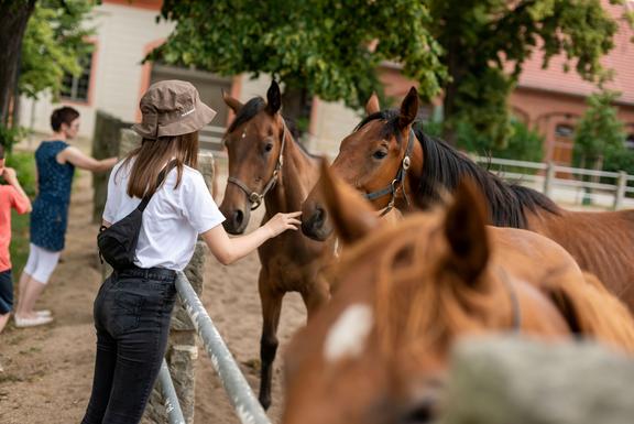 Mädchen mit Hut streckt Hand zu braunem Pferd in einem Pferdegehege, weitere Personen und Gebäude im Hintergrund